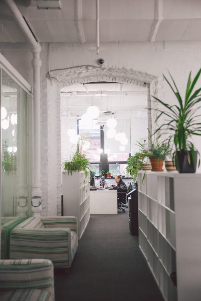 pexels photo 3747113.jpeg